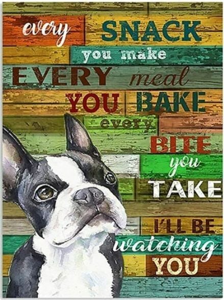 Dimantu glezna  - suns 