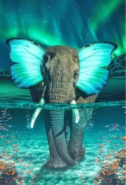 Dimantu glezna  - Zīlonis