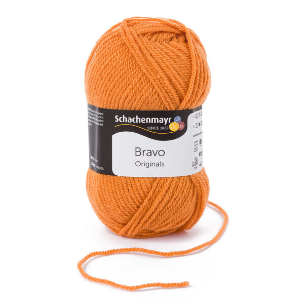 Schachenmayr Bravo  Nr 08360 - dzintars